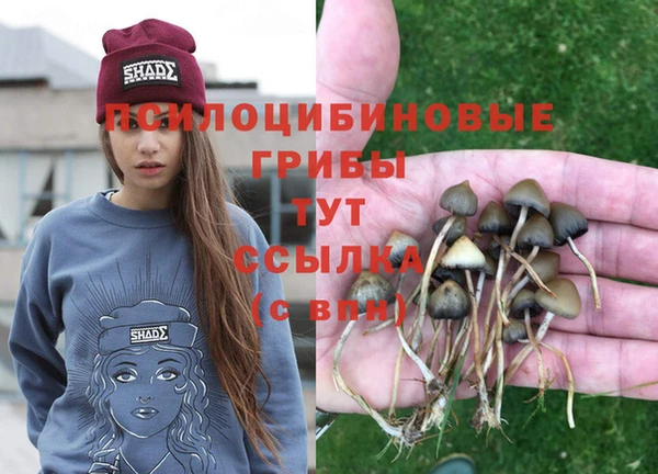 spice Медвежьегорск
