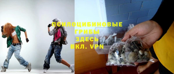 spice Медвежьегорск