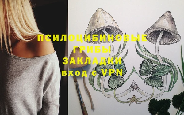 марихуана Медногорск