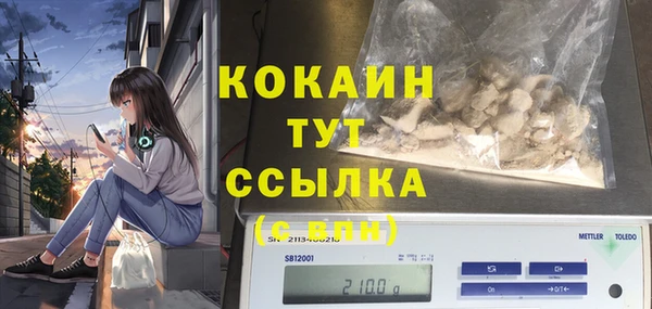 МДПВ Мегион