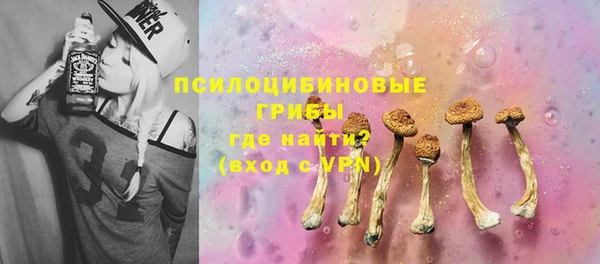 spice Медвежьегорск