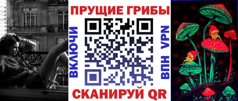 blacksprut как войти  Свободный  Псилоцибиновые грибы Psilocybine cubensis 