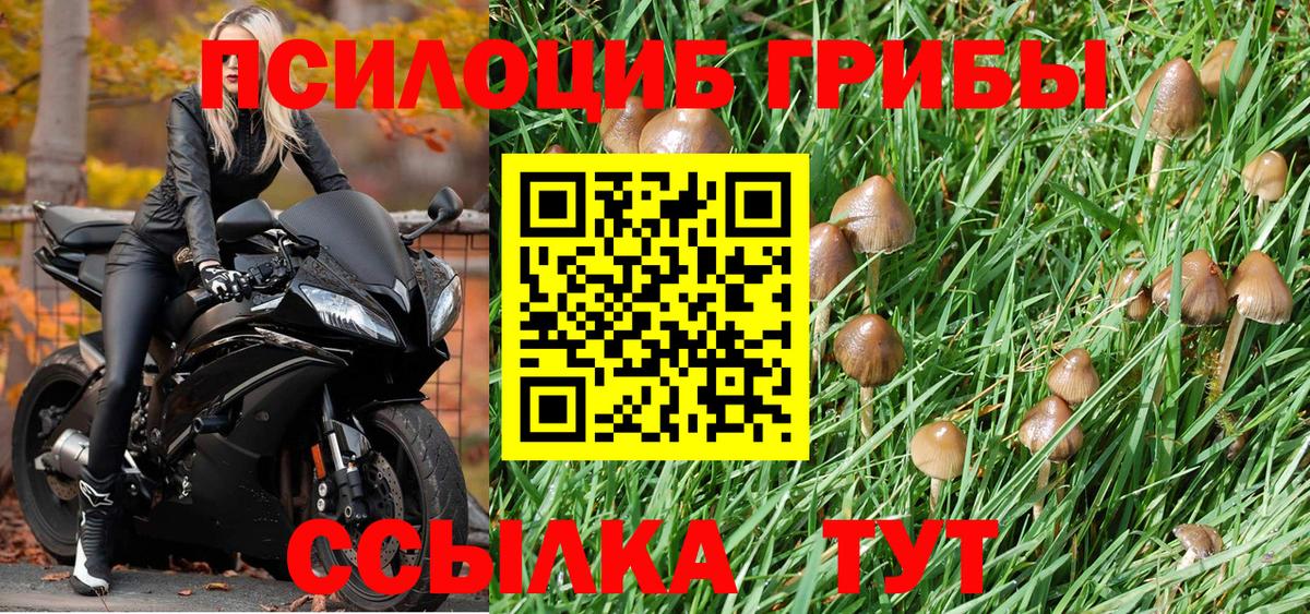 Галлюциногенные грибы MAGIC MUSHROOMS Свободный
