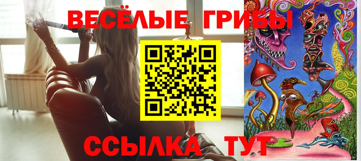 Свободный  Псилоцибиновые грибы Cubensis  Вход с VPN 